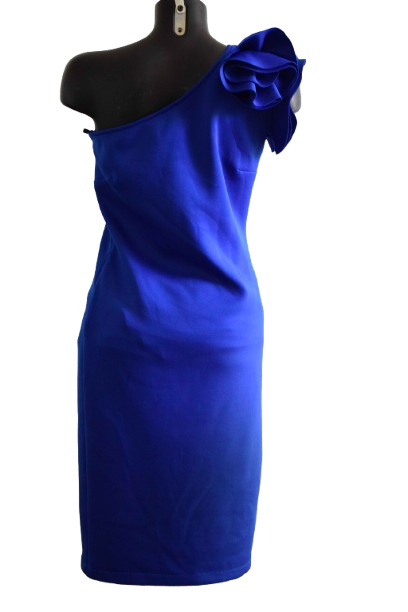 Robe frank lyman bleu